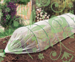 Greenhouse Cover
